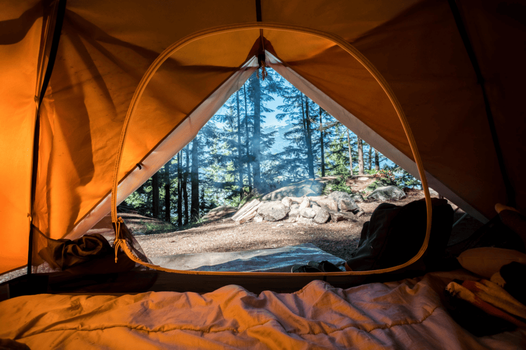 Looking outside from inside a tent into a forest. Photo by Scott Goodwill on Unsplash