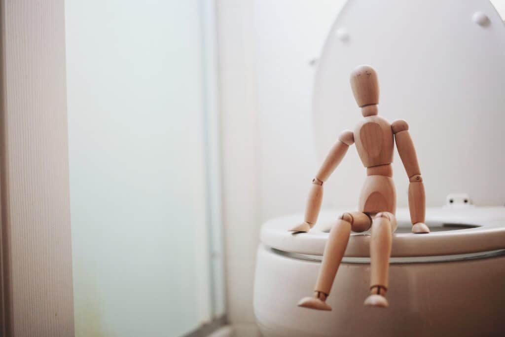 Camping toilets. A wooden figure sitting on a toilet. Photo by Giorgio Trovato on Unsplash