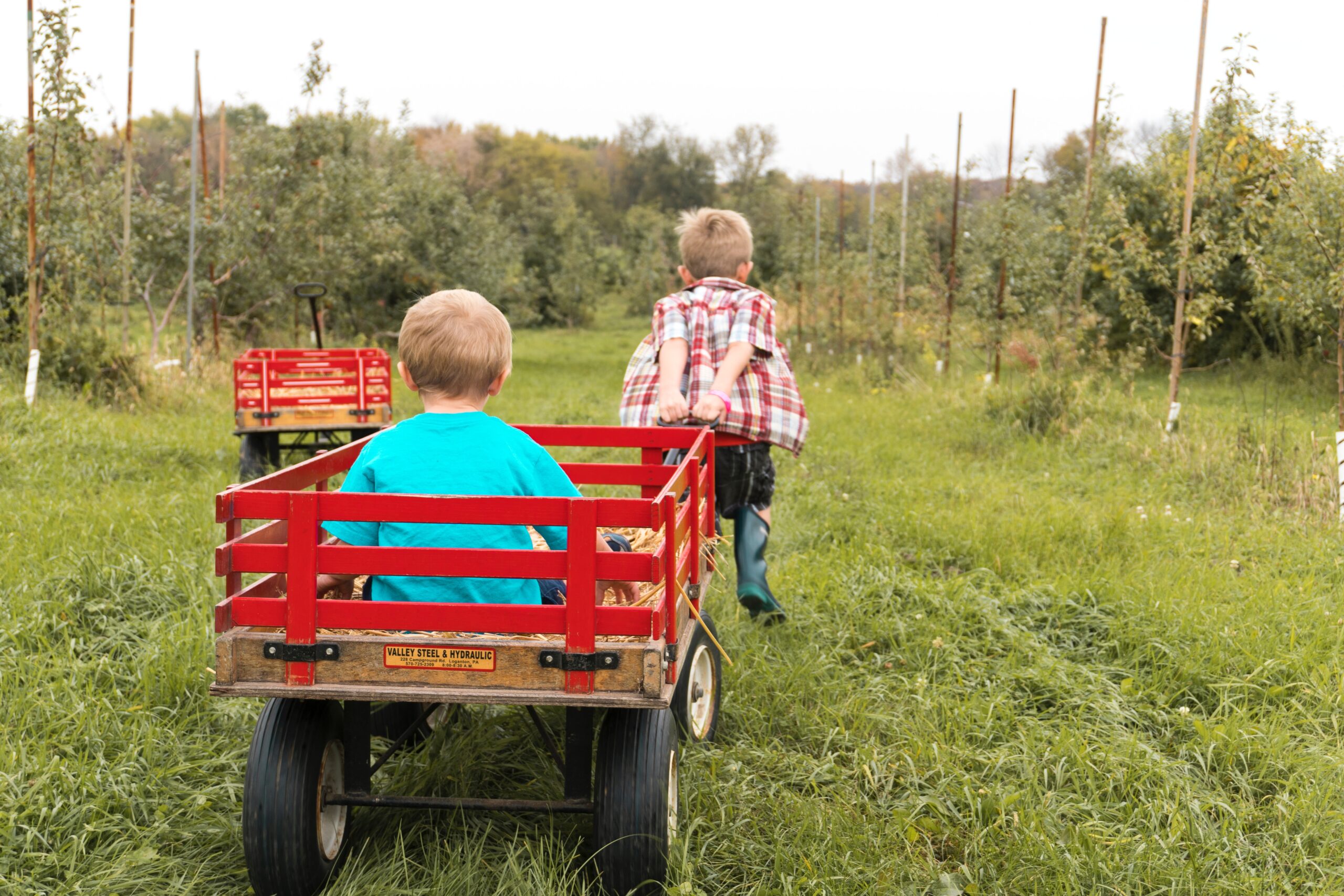 Camping Trolley. A young boy pulling another little boy in a red wooden cart. Photo by Matt Reed on Unsplash