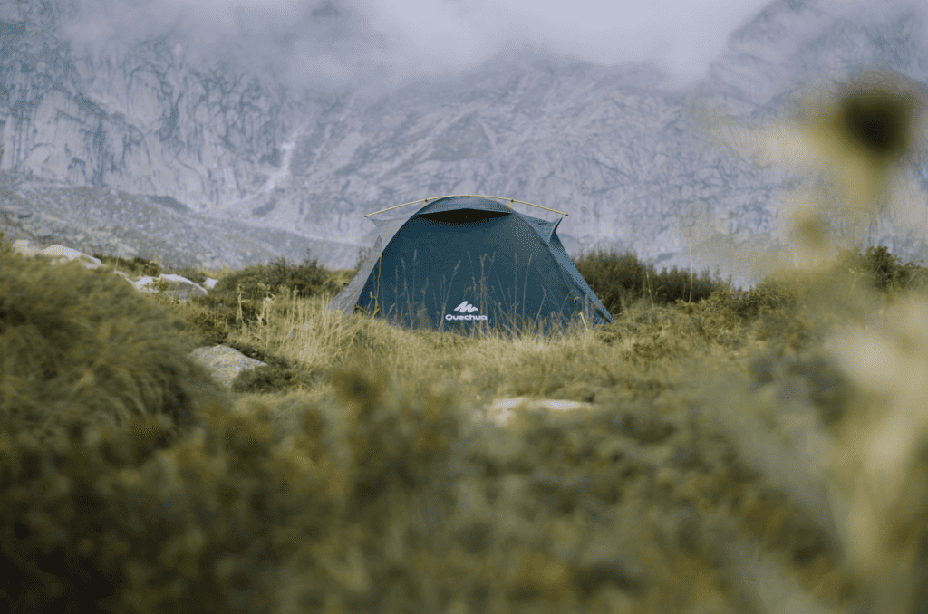 A tent around vegetation in the mountains. Photo by Alessandro Capuzzi on Unsplash