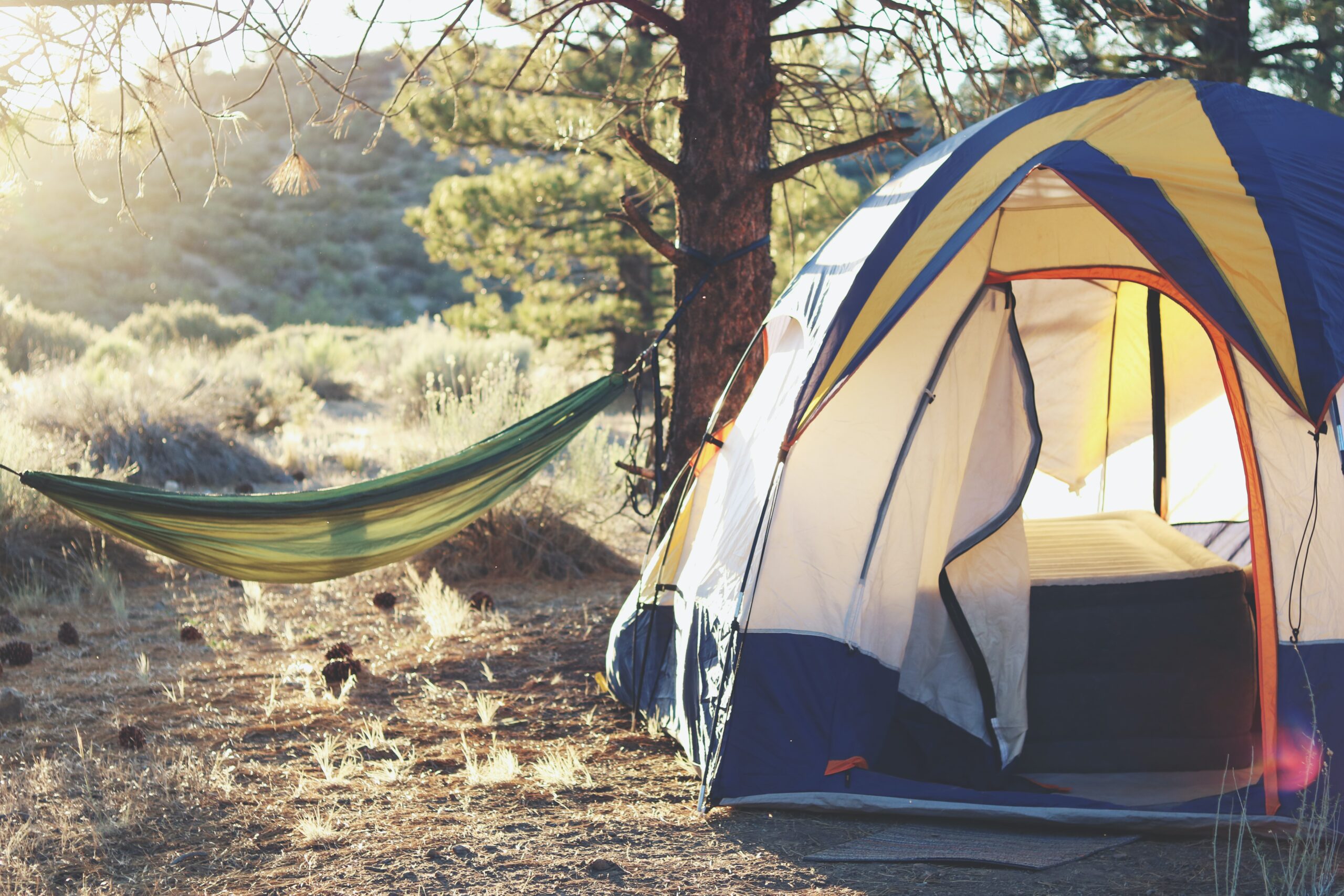 Stealth camping in the forest with a tent and hammock. Photo by Laura Pluth on Unsplash