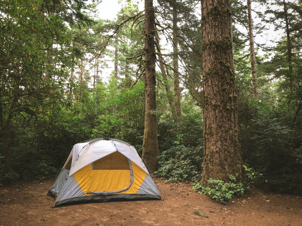 A tent in the woods. Photo by Cristofer Maximilian on Unsplash