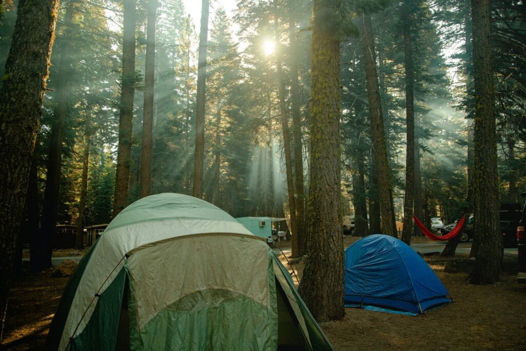 Tents at a campsite. Choosing a family campsite. Photo by Awar Meman on Unsplash

