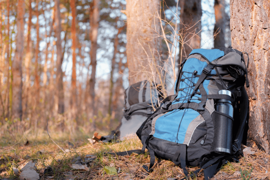 A couple of hiking backpacks leaning against trees in the woods. Source: Canva