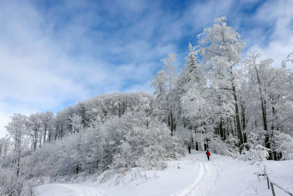 People hiking in winter. Photo by Wojciech Celiński on Unsplash