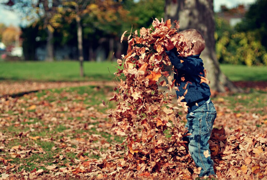 A little boy throwing leaves in the air. Photo by Scott Webb on Unsplash