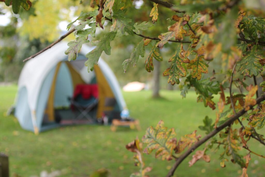 A blurred tent in the background with crispy oak tree leaves in the foreground. Autumn family camping guide. Photo by Shell CampingwithStyle on Unsplash