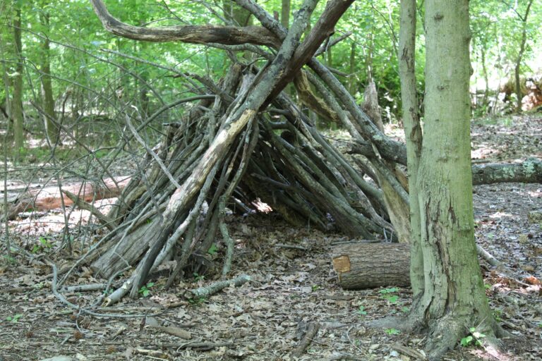 A den made from sticks. Photo by Tita Perez on Unsplash