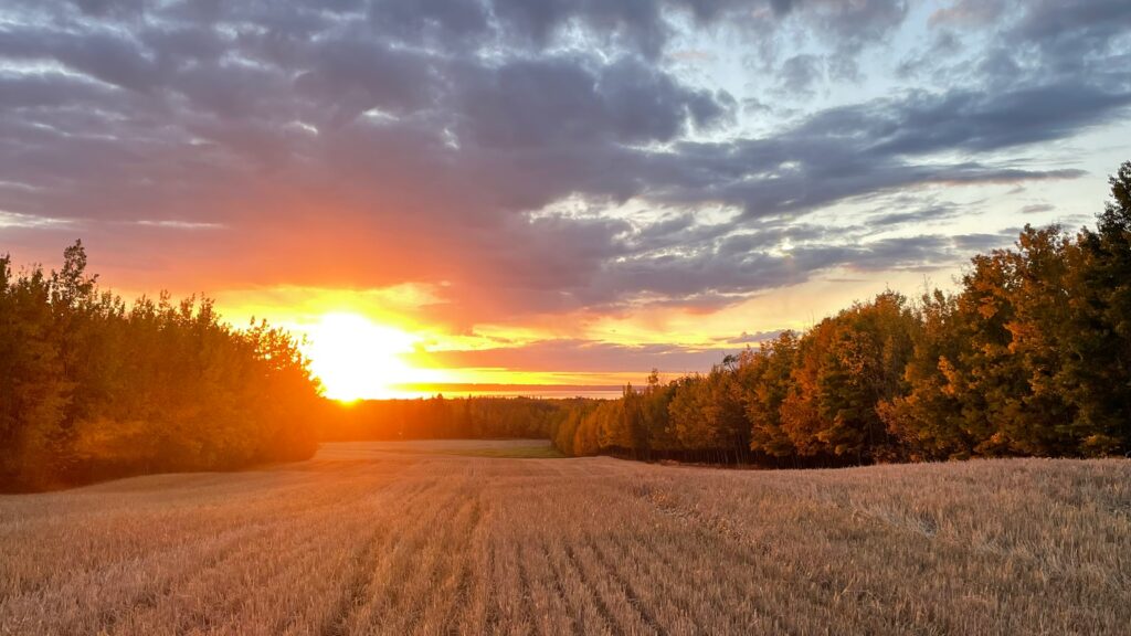 An autumn sunset. Photo by Ben Moodie on Unsplash