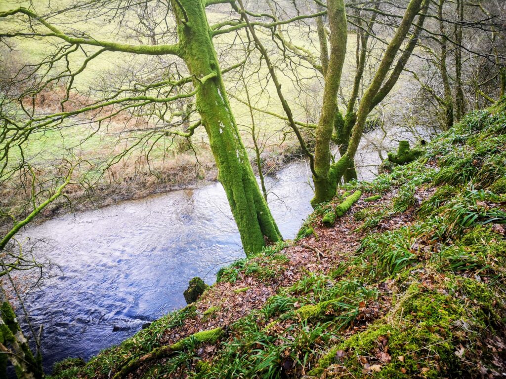 Walking along the River Barle in Exmoor National Park in Devon. Source: Rebecca Campbell Ltd
