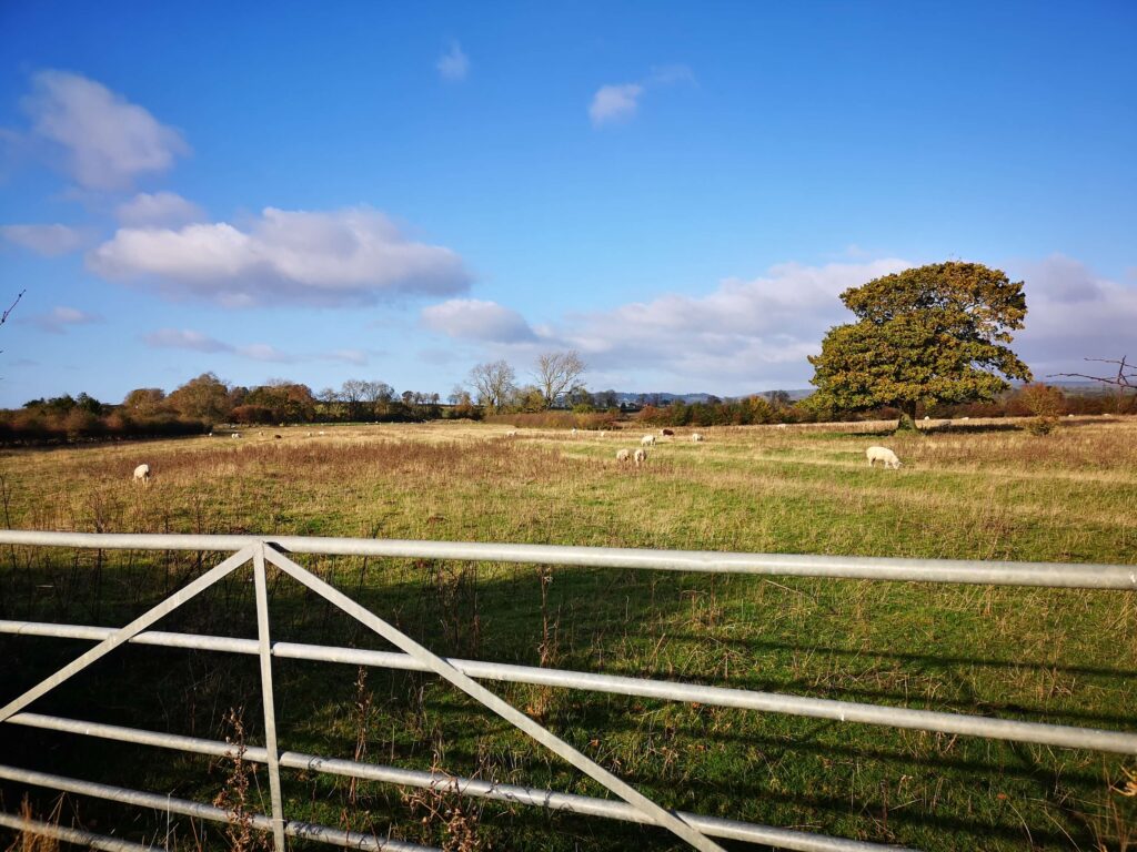 Overlooking the fields near Bagby in the North York Moors. Source: Rebecca Campbell Ltd