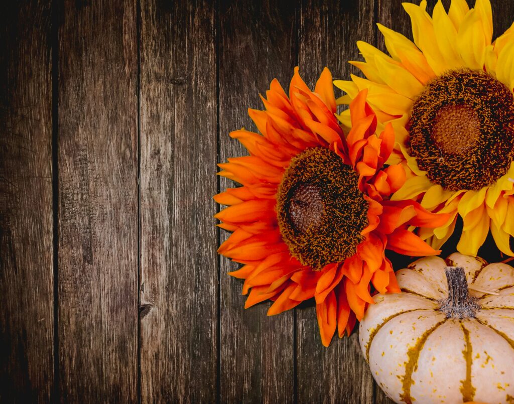 Two sunflowers, one with orange petals and the other with yellow petals, and a pumpkin. Autumn nature activities. Photo by Eric Tompkins on Unsplash