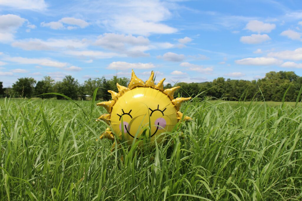 A sun balloon in a field. Photo by Laura Pratt on Unsplash