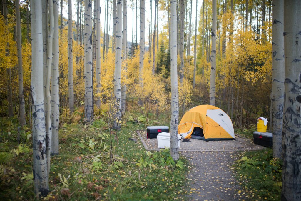 A tent in a forest. Photo by www.tribalvideo.com Tribal Video on Unsplash