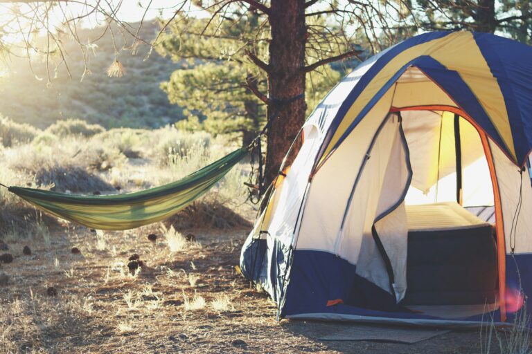 A tent in a woodland with a hammock. Photo by Laura Pluth on Unsplash