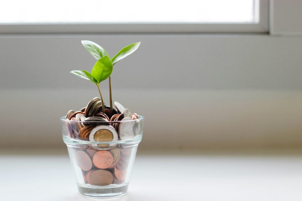 A growing money pot. Photo by micheile henderson on Unsplash