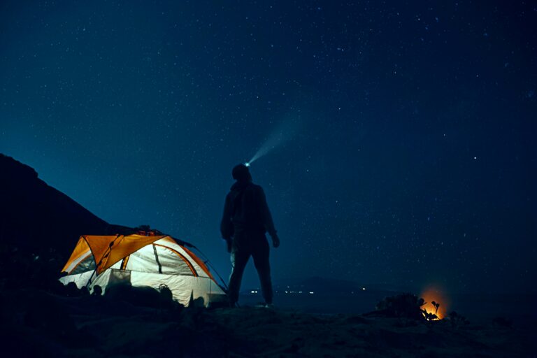 Stargazing and camping. Photo by Rahul Bhosale on Unsplash