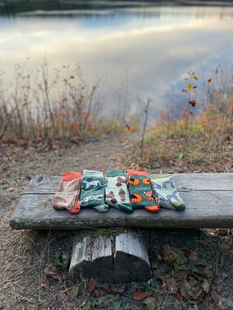 Hiking socks on a bench outside. Photo by Bare Kind on Unsplash
