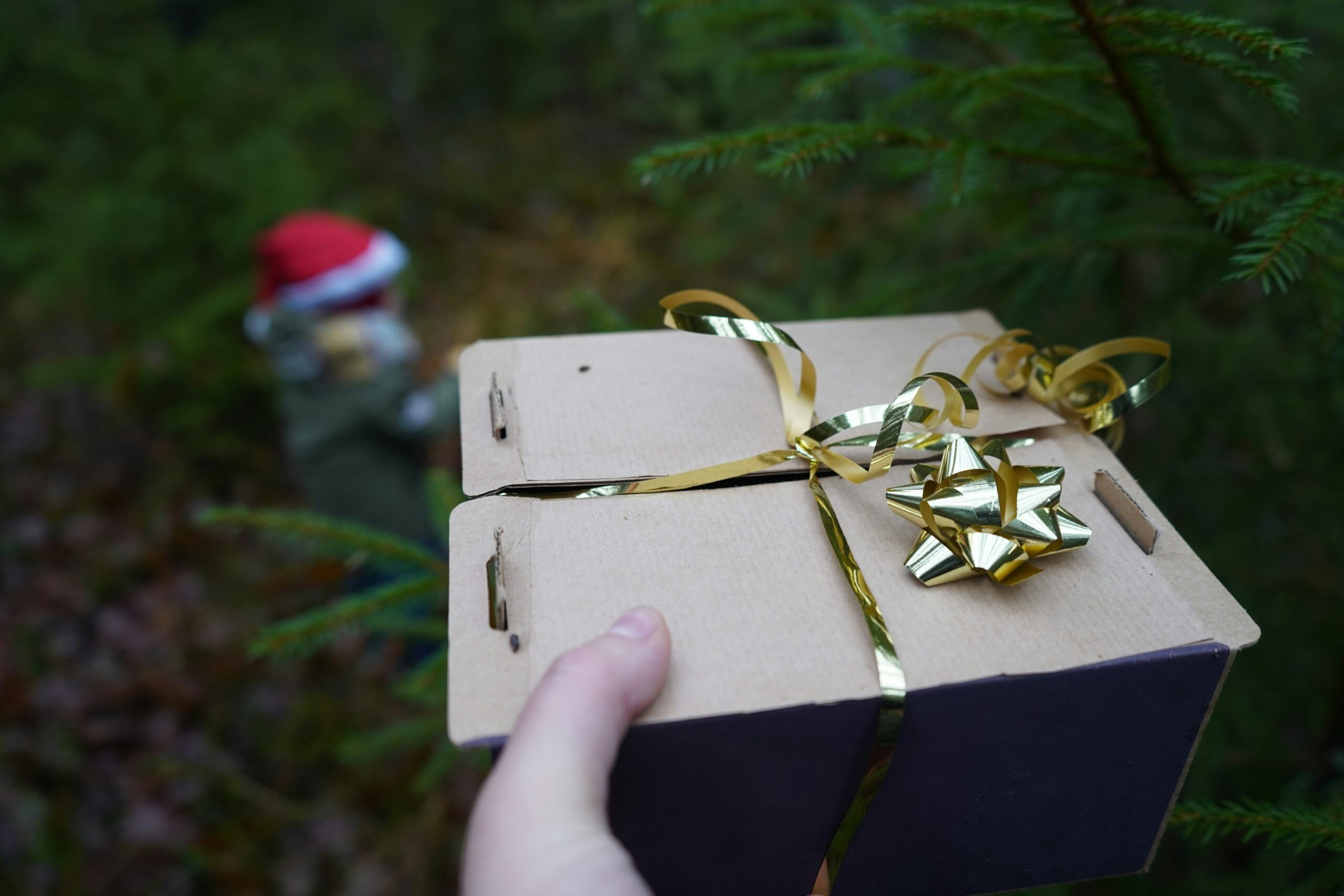 Someone handing a Christmas gift outside. Photo by Eli Pluma on Unsplash