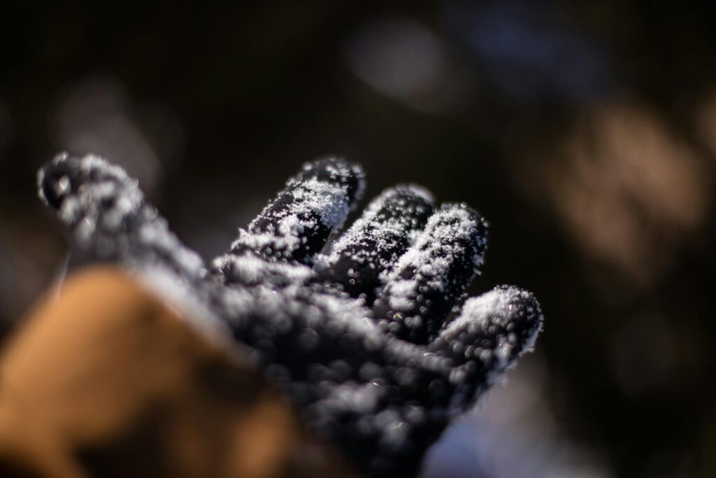 A snowy glove. Photo by Patrick Hendry on Unsplash