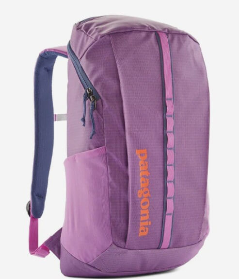 Patagonia Black Hole Pack 25L. Source: Parasol