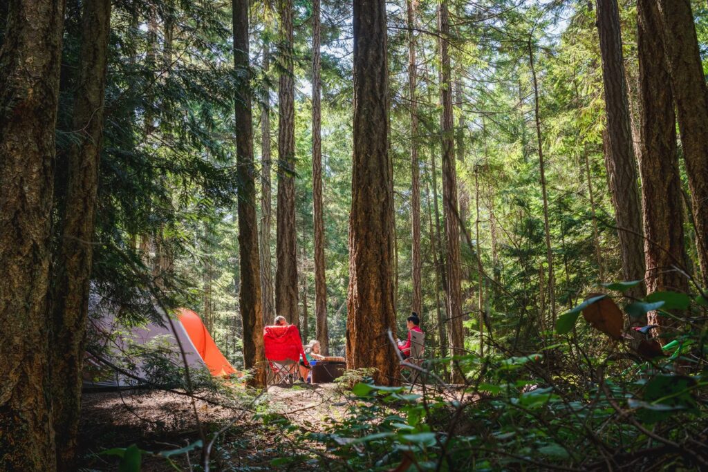 A family camping in the woods in the sunshine. Family camping in summer. Photo by Greg Rosenke on Unsplash
