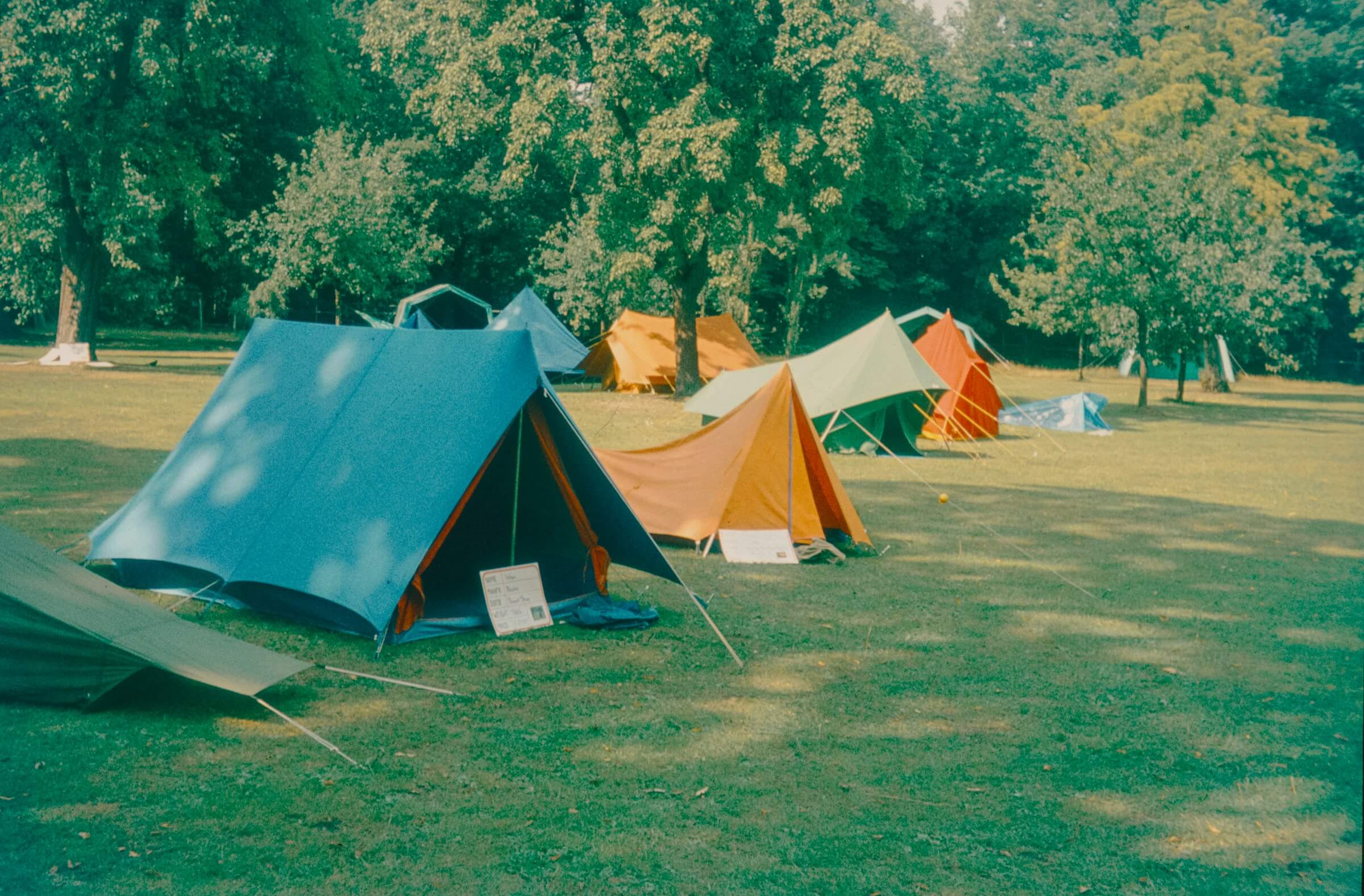 Tents sent up in a line. Photo by Annie Spratt on Unsplash