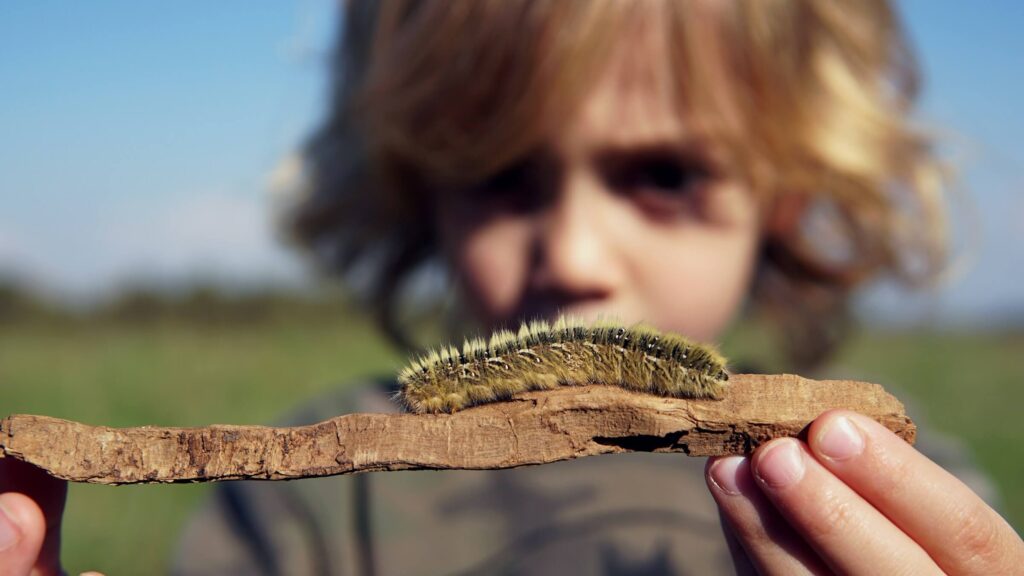 A young child holding a hairy molly, or caterpillar, on a stick. Hiking activities for toddlers. Photo by Chen Mizrach on Unsplash