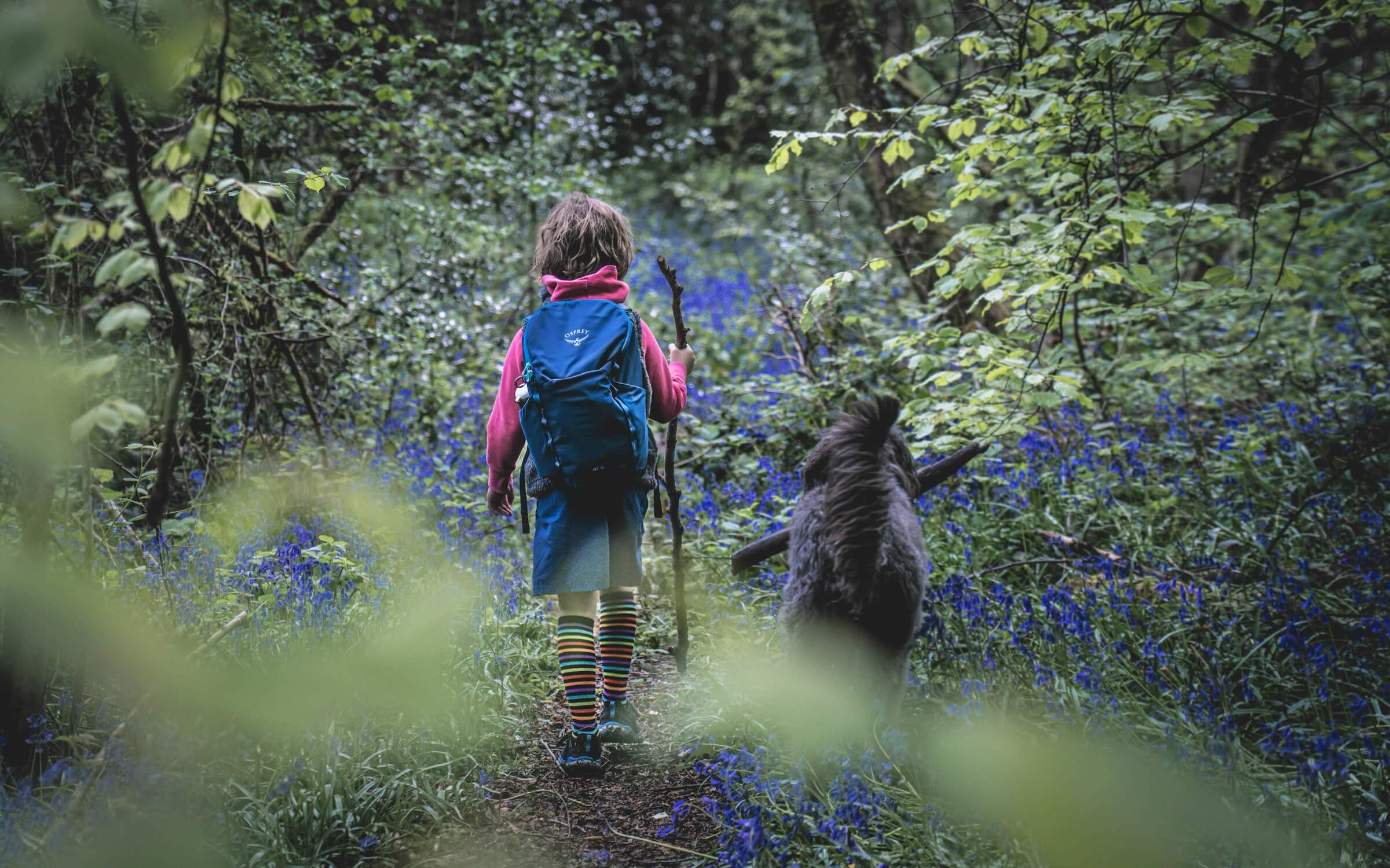 A young child hiking in a wooded area with a stick with a dog walking alongside carrying a stick in its mouth. Photo by Lucas Canino on Unsplash